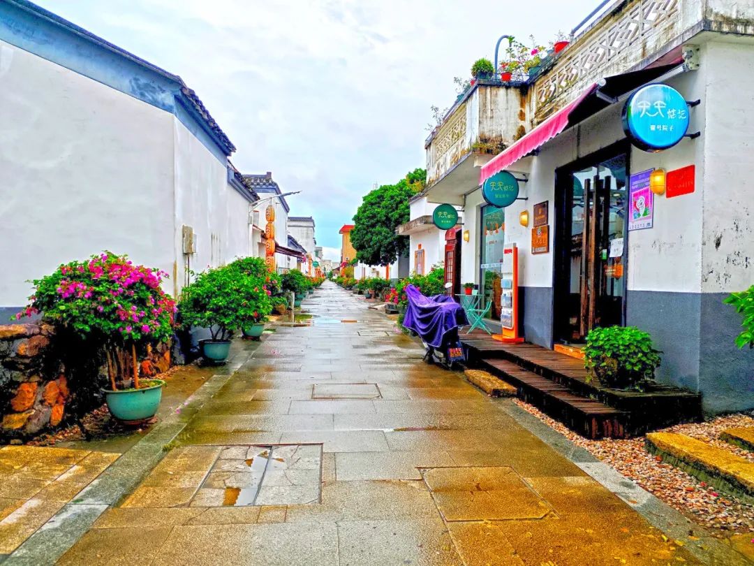 1742369354798985.jpg 2.jpg