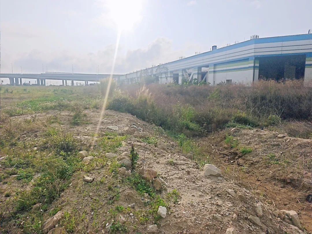 1747296645970403.jpg 11.jpg