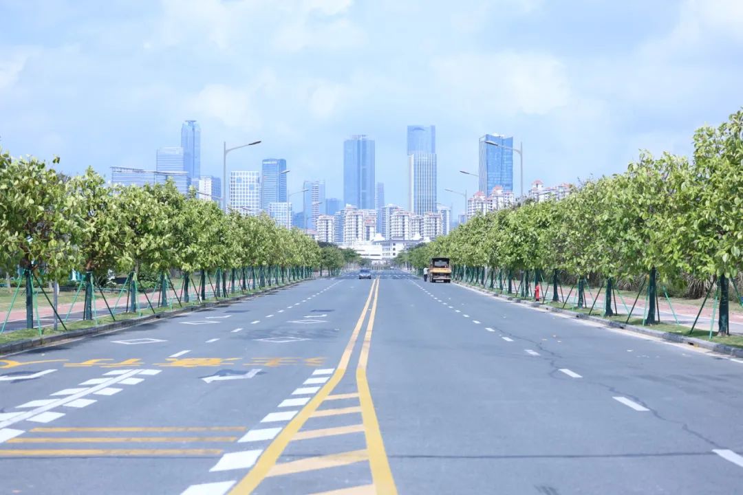 1747296812456754.jpg 17.jpg