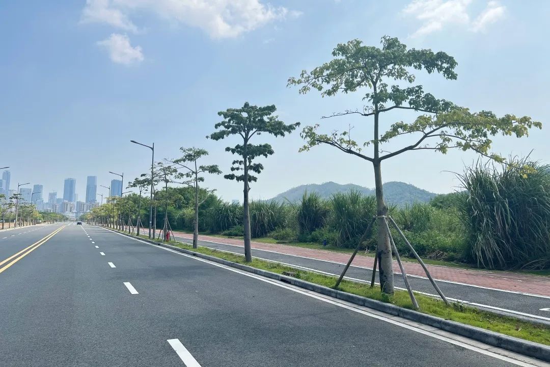 1747296831792303.jpg 18.jpg